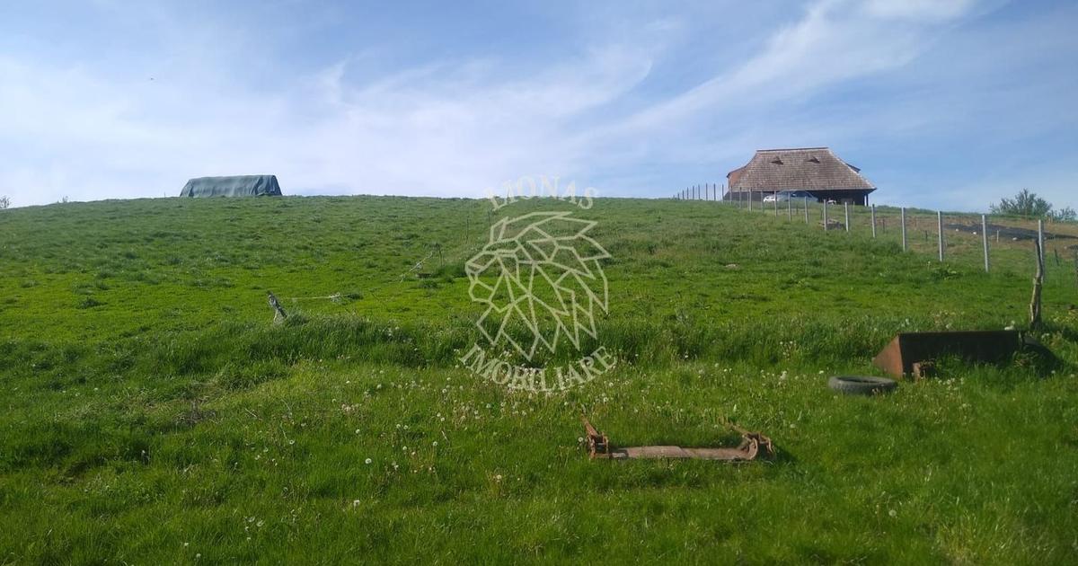 Teren agricol extravilan de 2500 mp, în Monariu