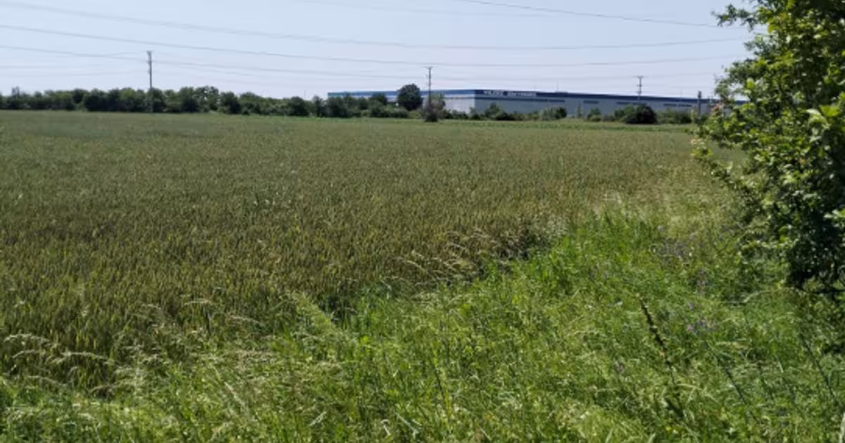 Teren agricol extravilan de 7360 mp, în Oarja