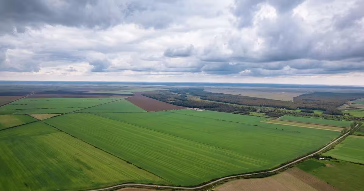 Teren agricol extravilan de 29128300 mp, în Oltenești