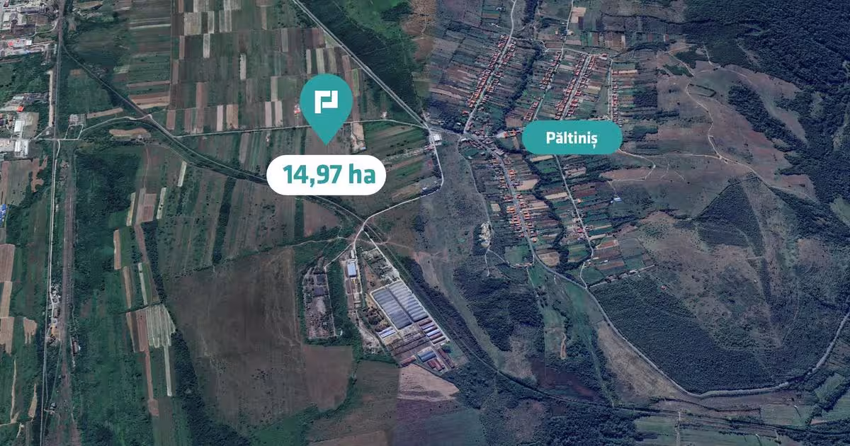 Teren agricol extravilan de 151874 mp, în Păltiniș