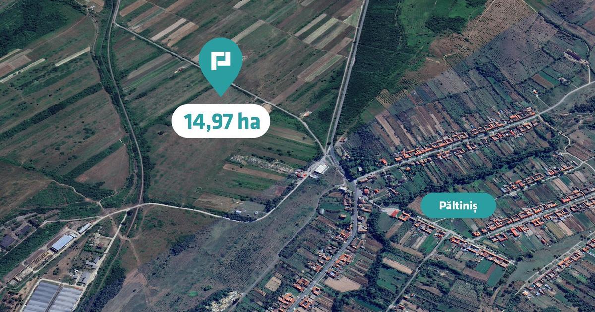 Teren agricol extravilan de 151874 mp, în Păltiniș