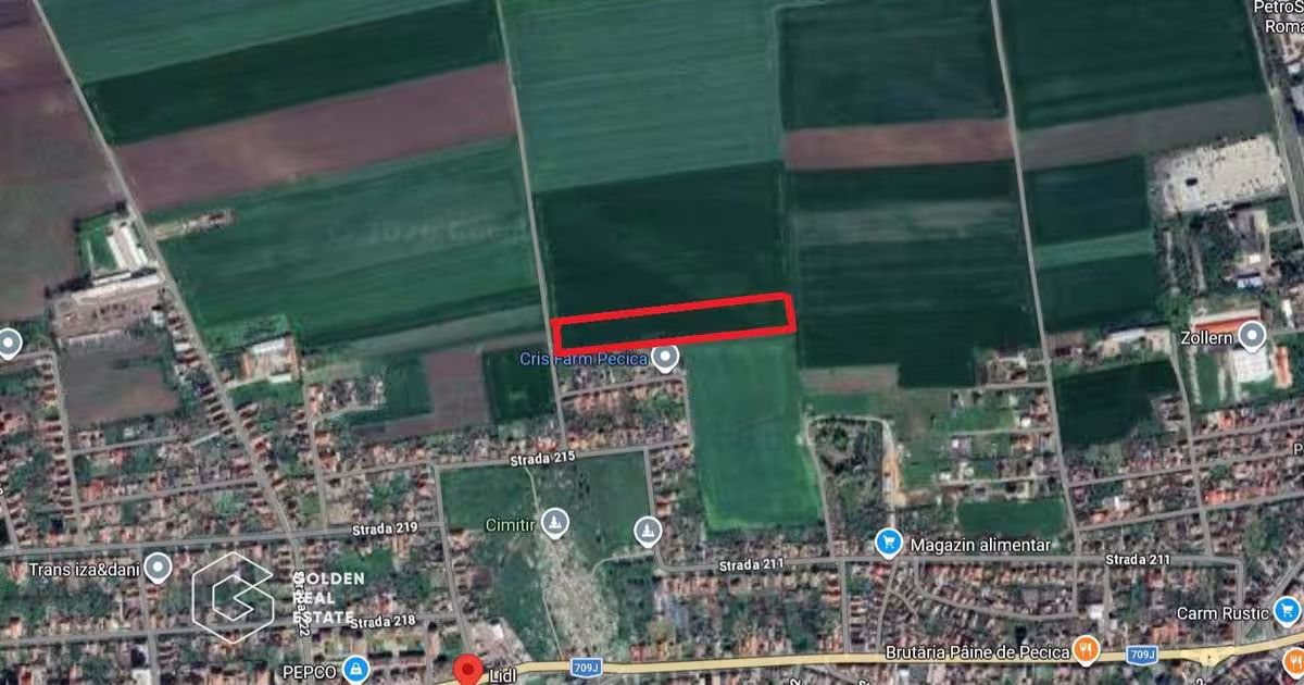 Teren agricol extravilan de 20000 mp, în zona Est, Pecica