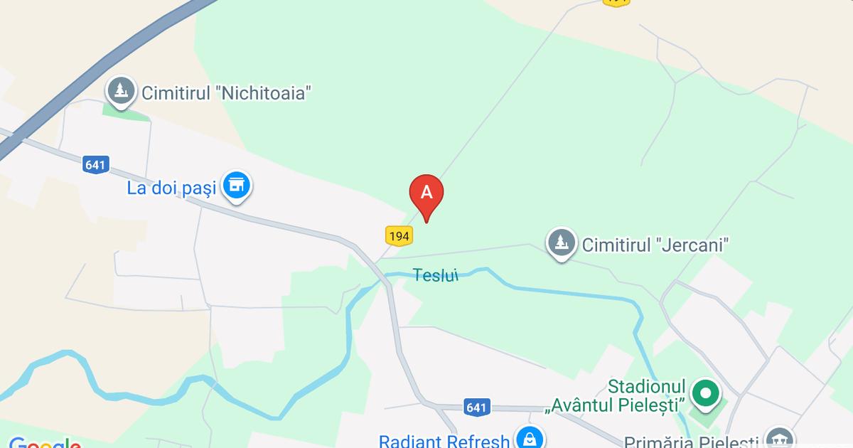 Teren agricol extravilan de 10000 mp, în Pielești