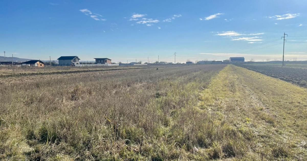 Teren agricol extravilan de 5000 mp, în zona Calea București, Pitești