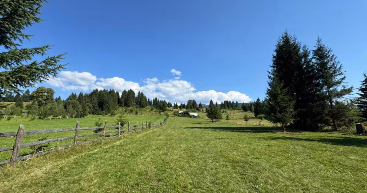 Teren agricol intravilan de 16700 mp, în Plaiu Șarului
