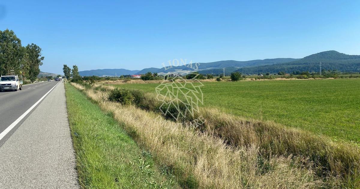 Teren agricol extravilan de 13400 mp, în Podirei