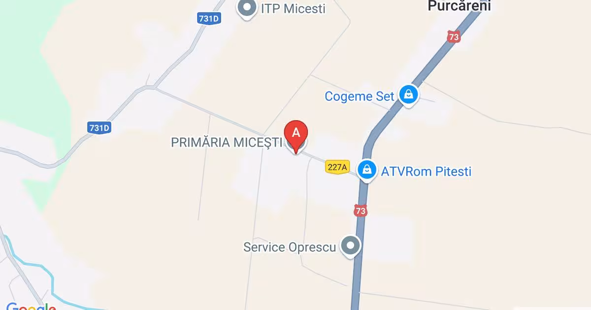 Teren agricol intravilan de 11695 mp, în Purcăreni (Micești)