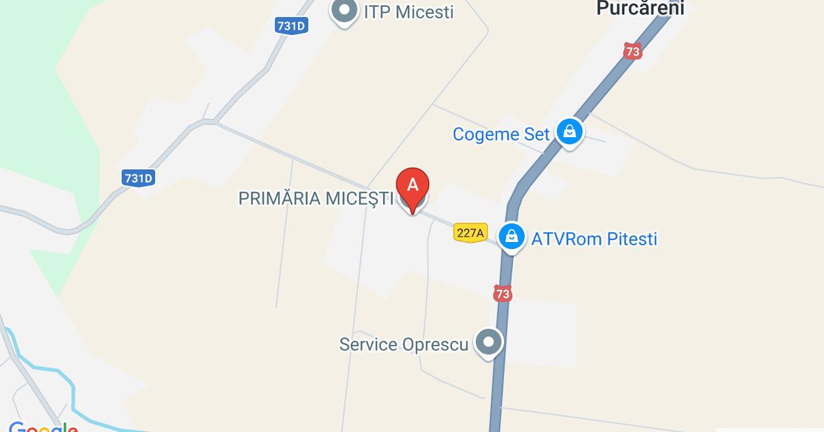 Teren agricol intravilan de 11695 mp, în Purcăreni (Micești)