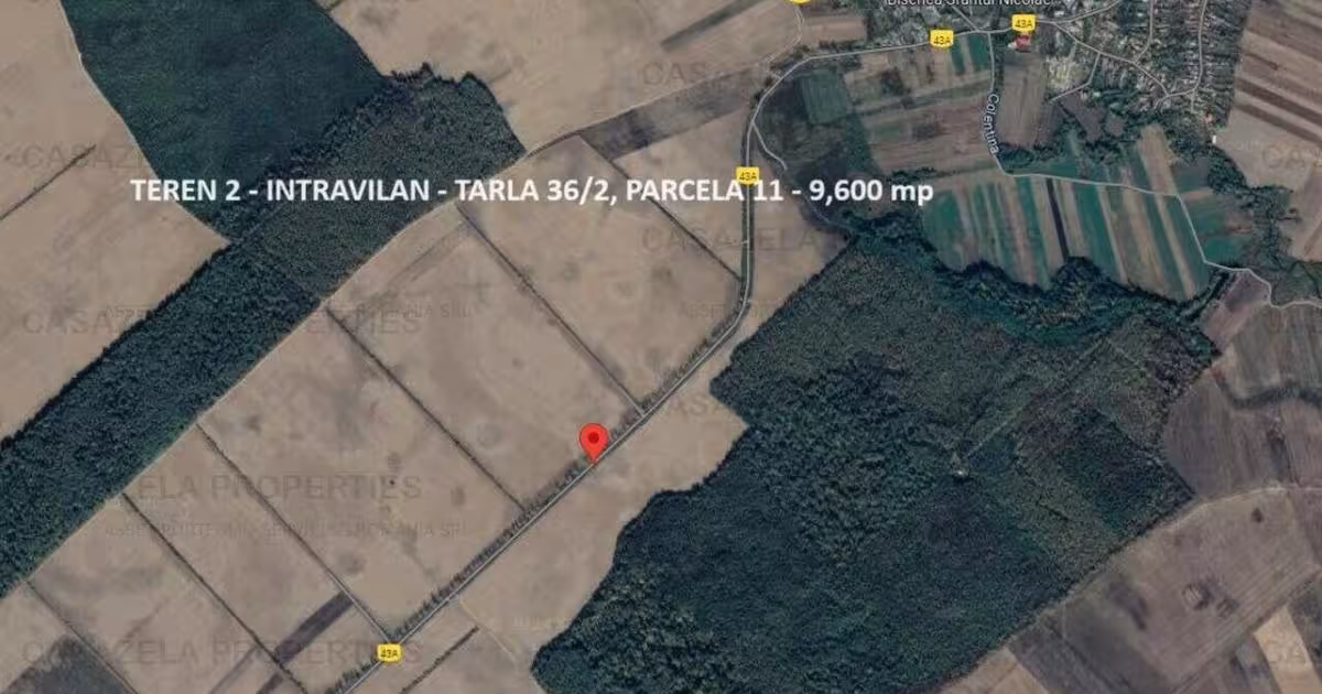 Teren agricol intravilan de 33000 mp, în Răcari
