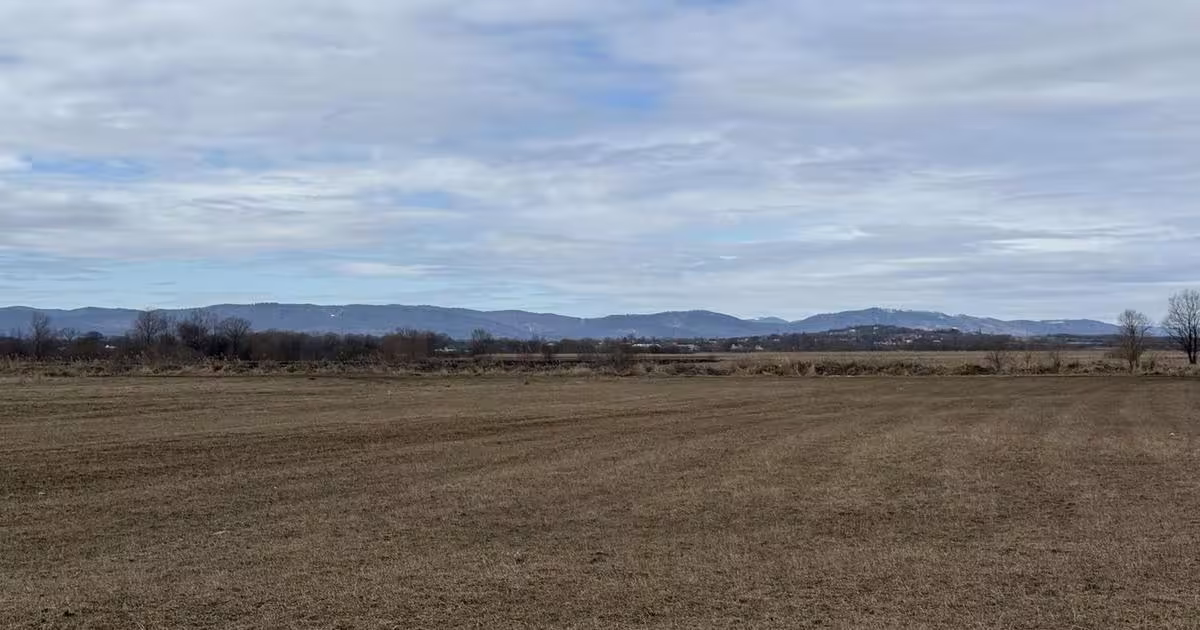 Teren agricol extravilan de 3900 mp, în zona Central, Rădăuți