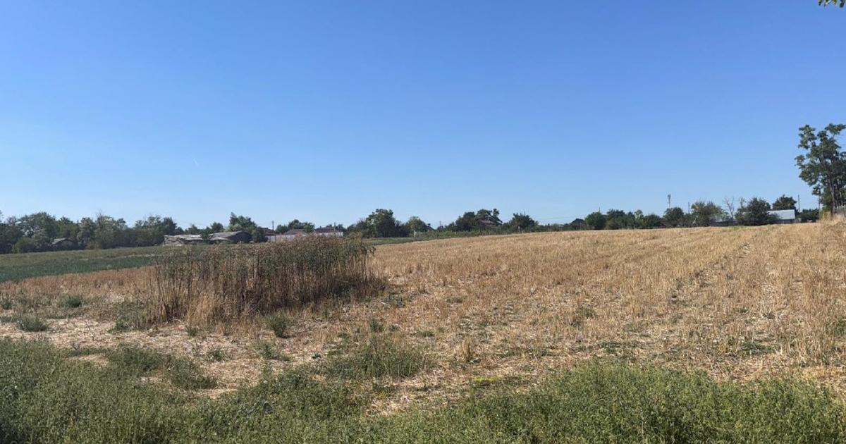 Teren agricol intravilan de 4000 mp, în Roseți preț 117.255 RON