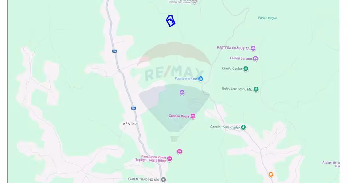 Teren agricol extravilan de 10059 mp, în Roșia