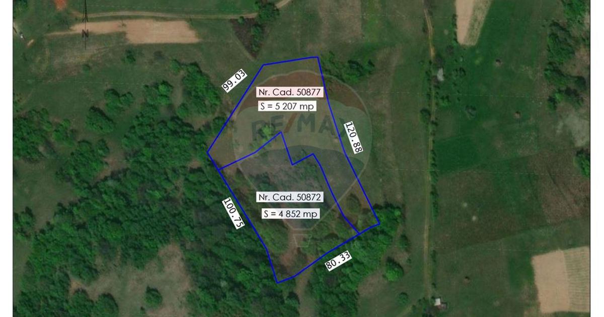 Teren agricol extravilan de 10059 mp, în Roșia