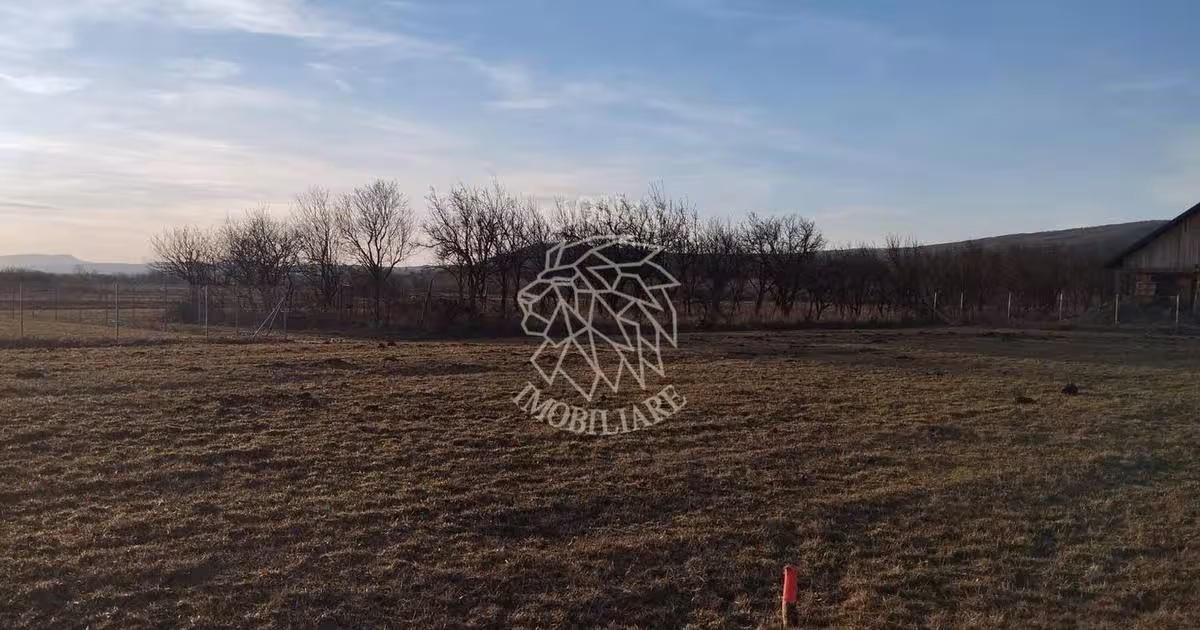 Teren agricol extravilan de 3500 mp, în Rusu Bârgăului