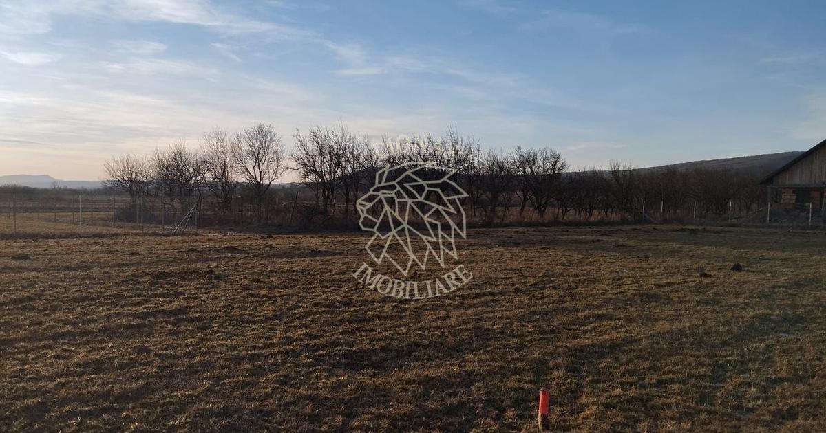 Teren agricol extravilan de 3500 mp, în Rusu Bârgăului