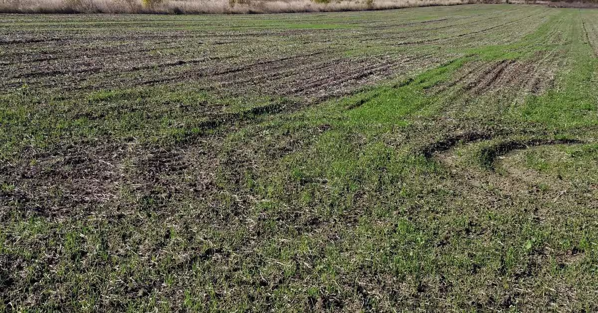 Teren agricol extravilan de 5054 mp, în Săbăreni