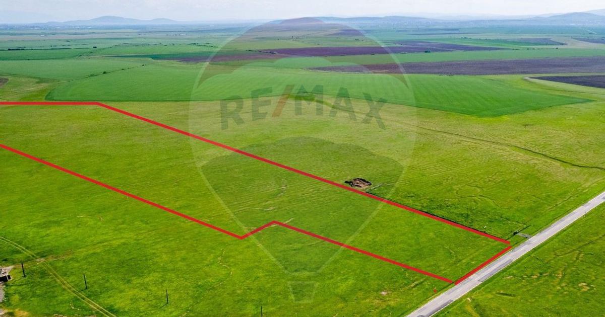 Teren agricol extravilan de 50000 mp, în zona Exterior Nord, Sântana