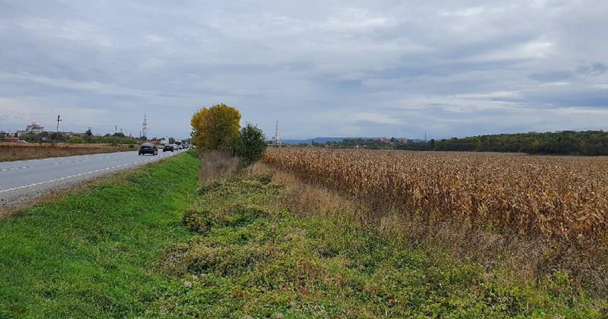 Teren agricol intravilan de 11791 mp, în Sântandrei