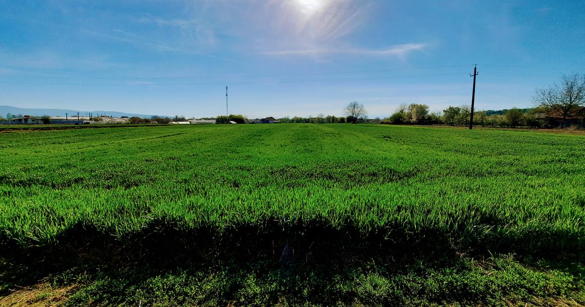 Teren agricol extravilan de 4923 mp, în Sântuhalm