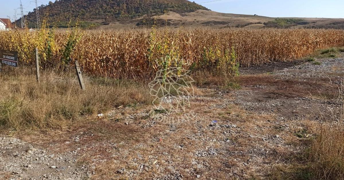 Teren agricol extravilan de 4606 mp, în Sărata