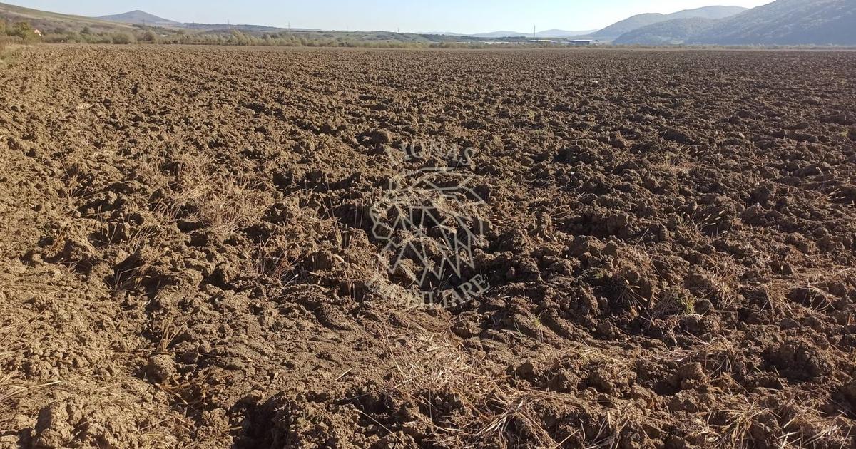 Teren agricol extravilan de 7500 mp, în Sărata