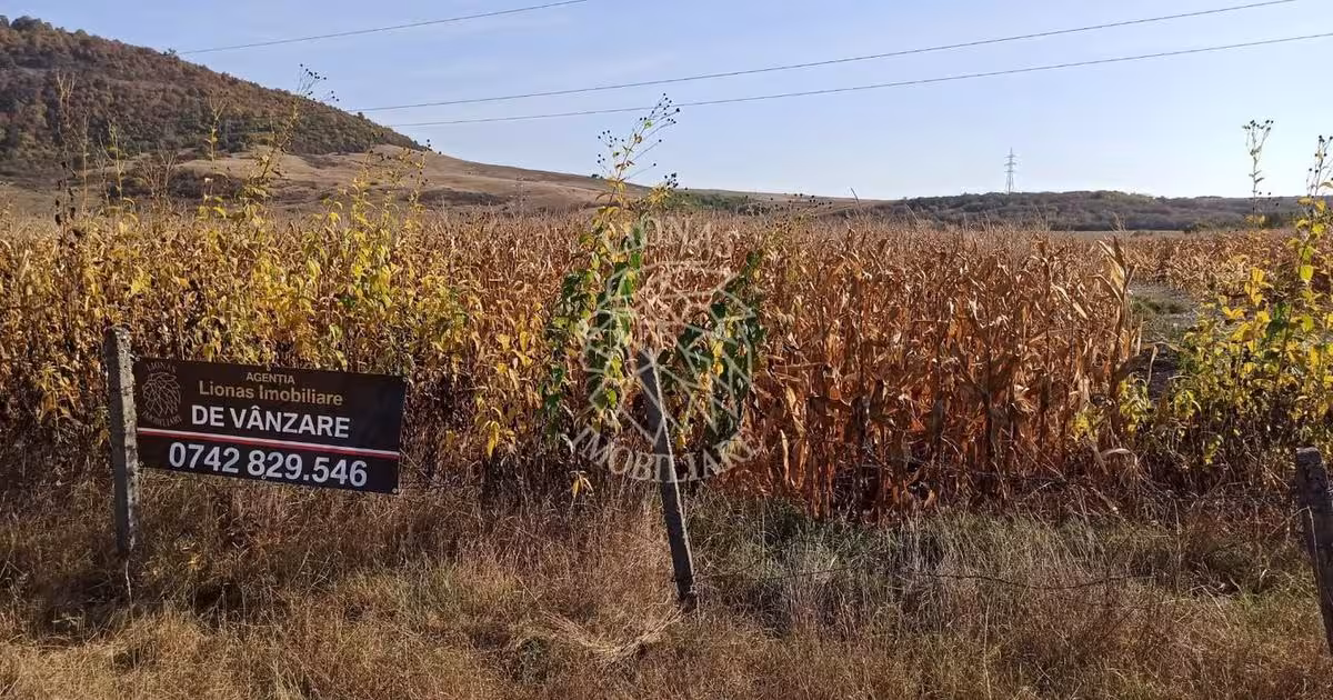 Teren agricol extravilan de 770 mp, în Sărata