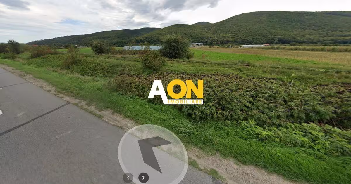 Teren agricol intravilan de 13000 mp, în Șard