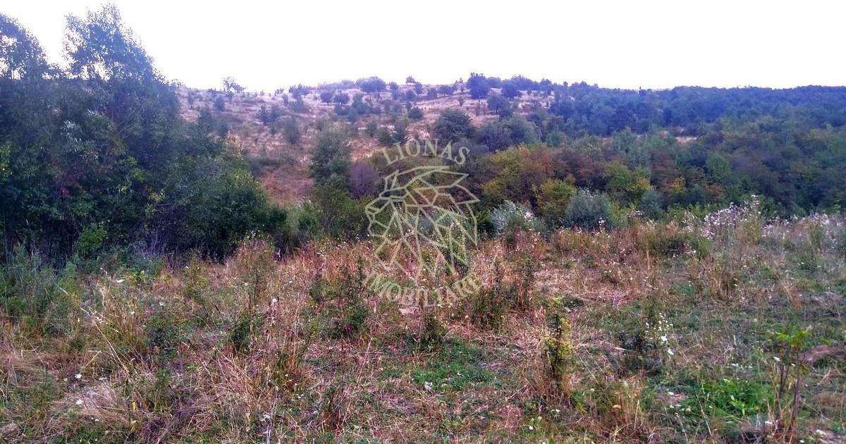 Teren agricol extravilan de 6000 mp, în Satu Nou