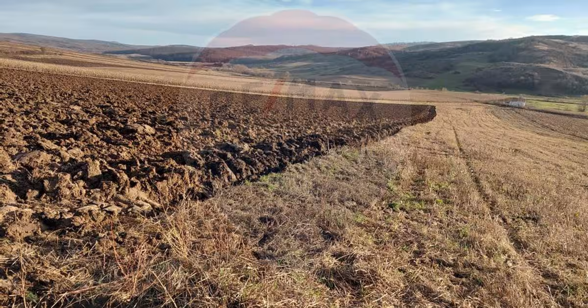 Teren agricol intravilan de 7200 mp, în Secuieni