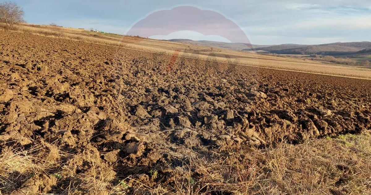Teren agricol intravilan de 7200 mp, în Secuieni