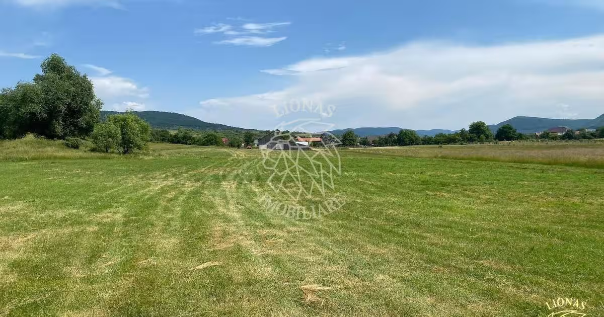 Teren agricol extravilan de 7200 mp, în Șieu-Măgheruș