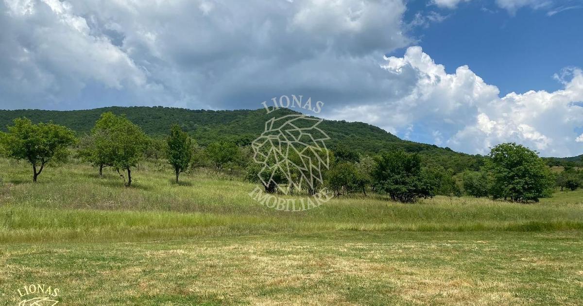 Teren agricol extravilan de 7200 mp, în Șieu-Măgheruș