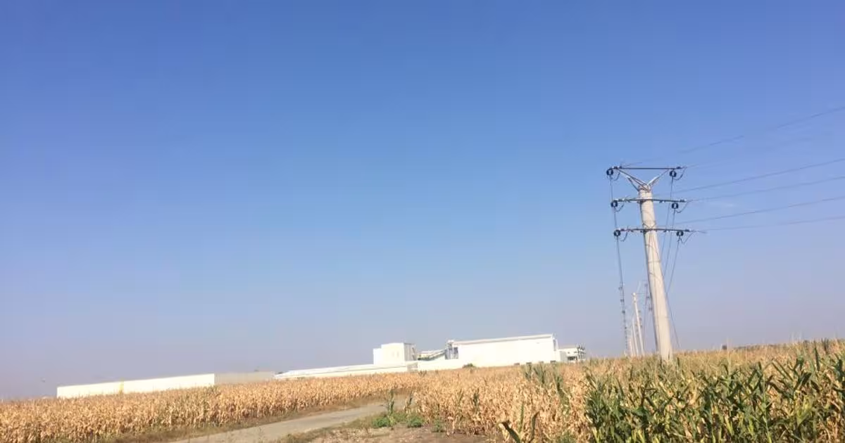 Teren agricol extravilan de 27600 mp, în Sinești