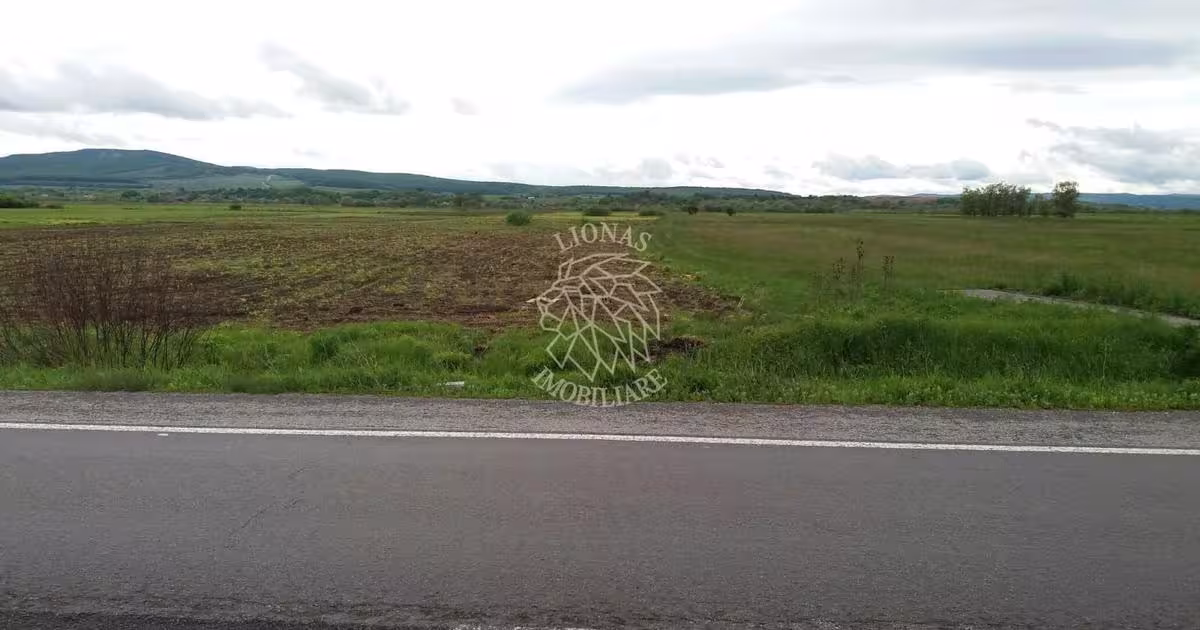Teren agricol extravilan de 19100 mp, în Șintereag