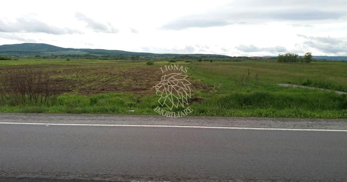 Teren agricol extravilan de 19100 mp, în Șintereag