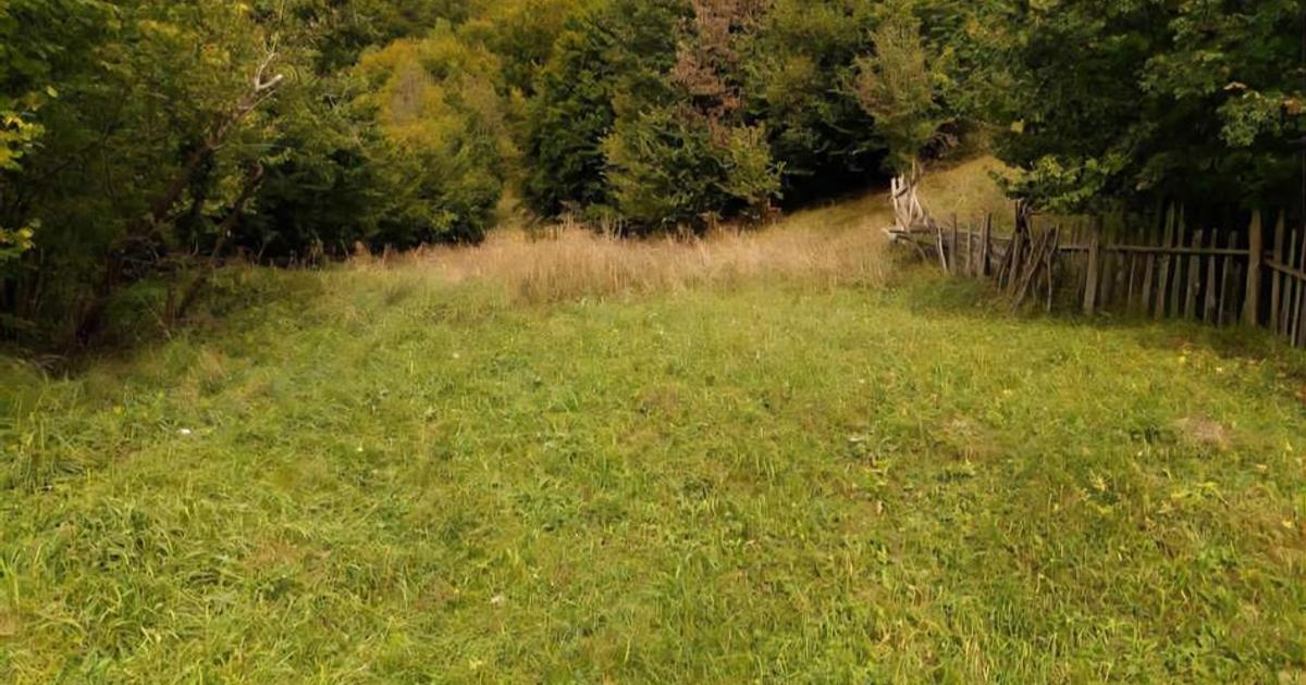 Teren agricol extravilan de 15355 mp, în zona Est, Slănic-Moldova