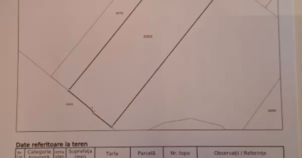 Teren agricol extravilan de 50000 mp, în Slobozia