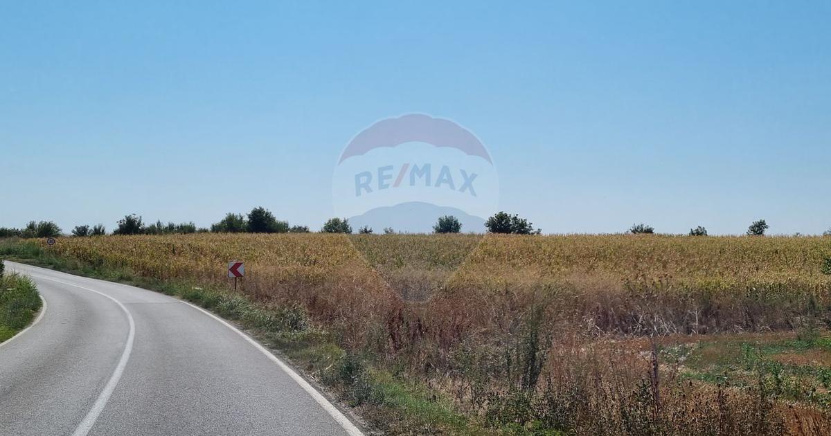 Teren agricol extravilan de 16083 mp, în zona Est, Slobozia