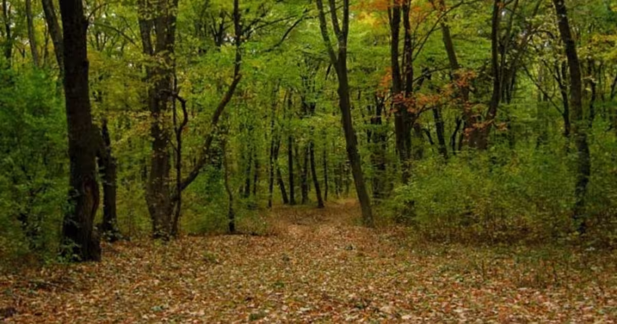 Teren agricol extravilan de 6500000 mp, în Slobozia Mândra