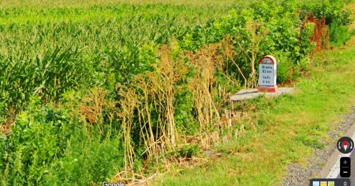 Teren agricol extravilan de 180000 mp, în Slobozia Nouă