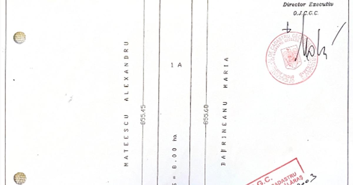 Teren agricol extravilan de 8000 mp, în Ștefan Vodă