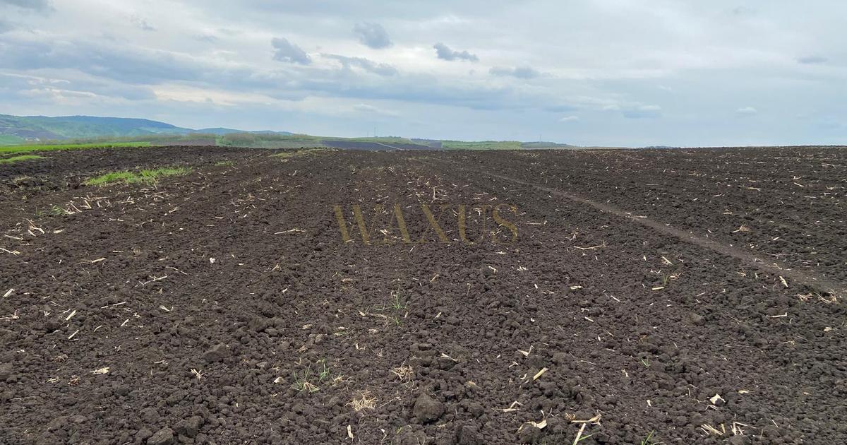 Teren agricol de 10200 mp, în Țagu