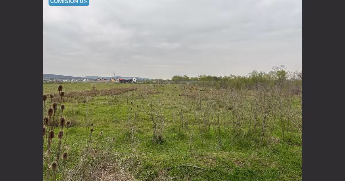 Teren agricol extravilan de 3372 mp, în zona Centura, Târgu Jiu