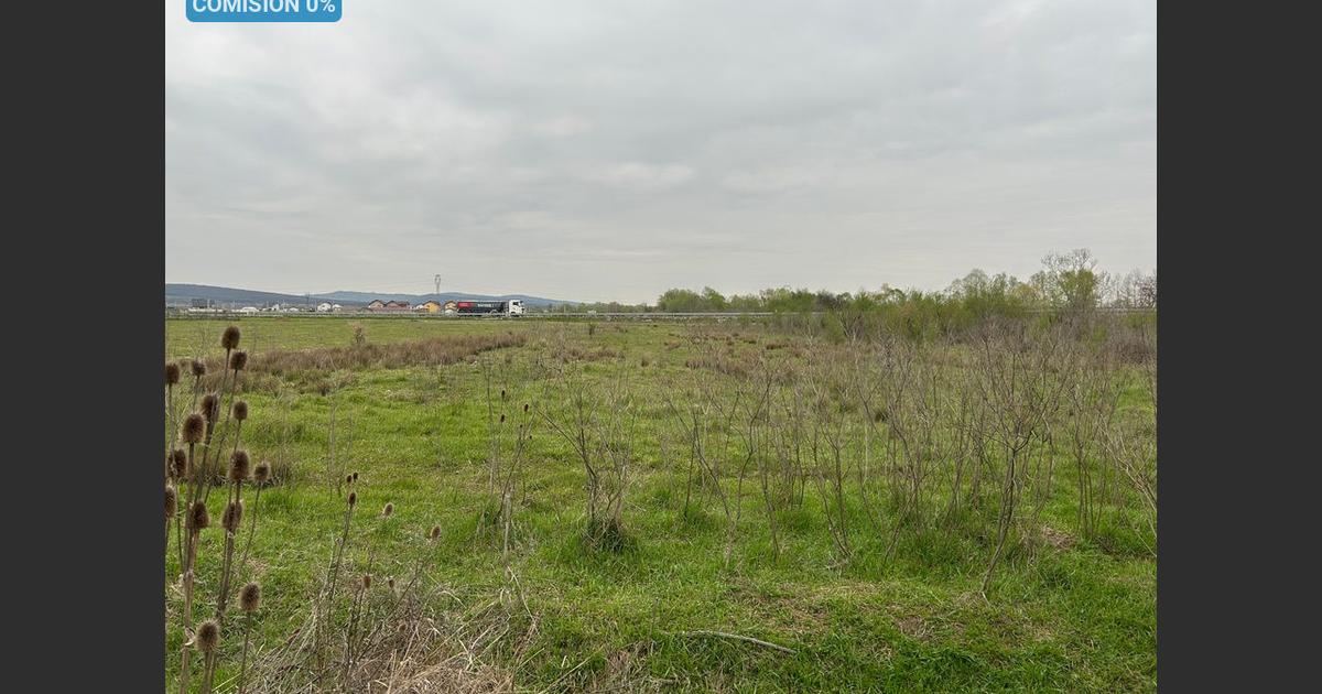 Teren agricol extravilan de 3372 mp, în zona Centura, Târgu Jiu