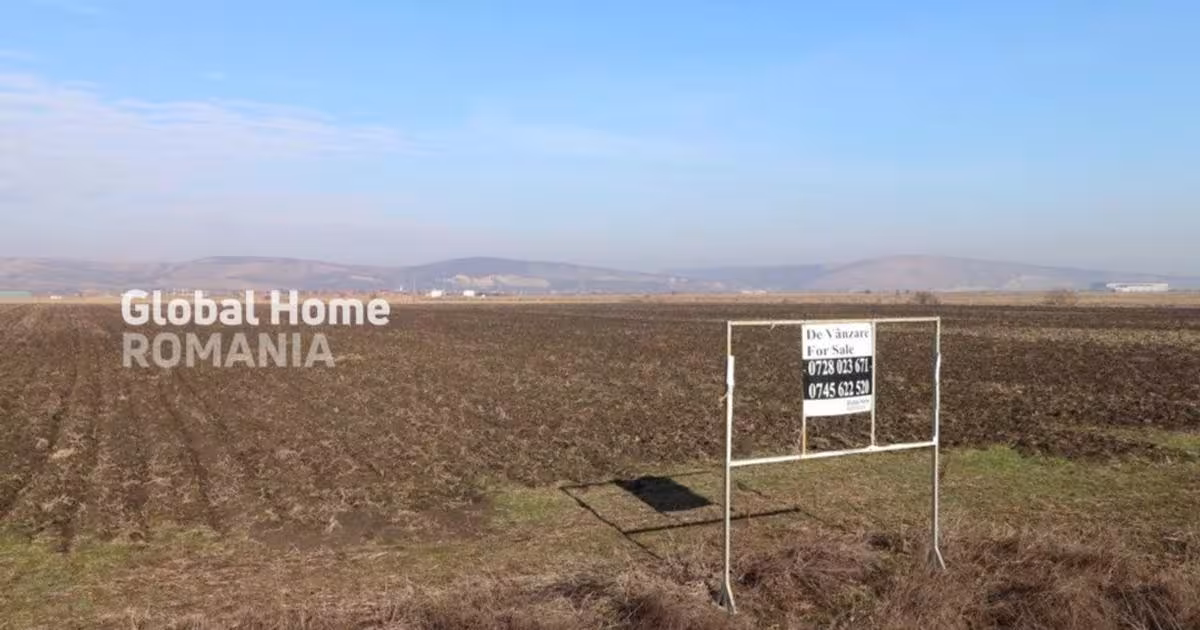 Teren agricol intravilan de 25000 mp, în zona Exterior Sud, Târgu Mureș