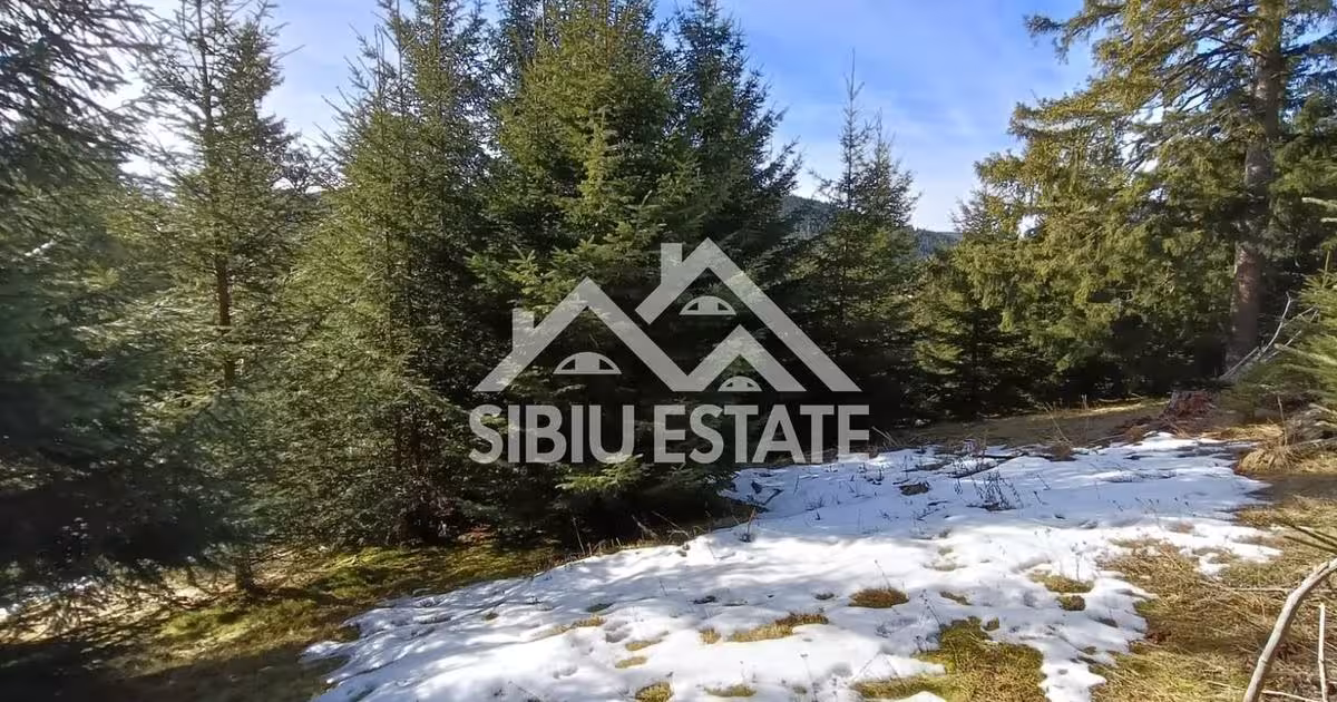 Teren agricol extravilan de 2733 mp, în Tău Bistra
