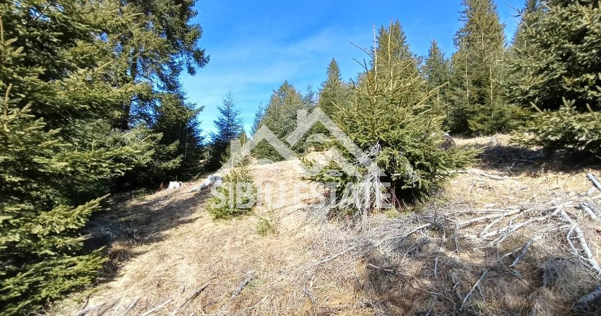 Teren agricol extravilan de 2733 mp, în Tău Bistra