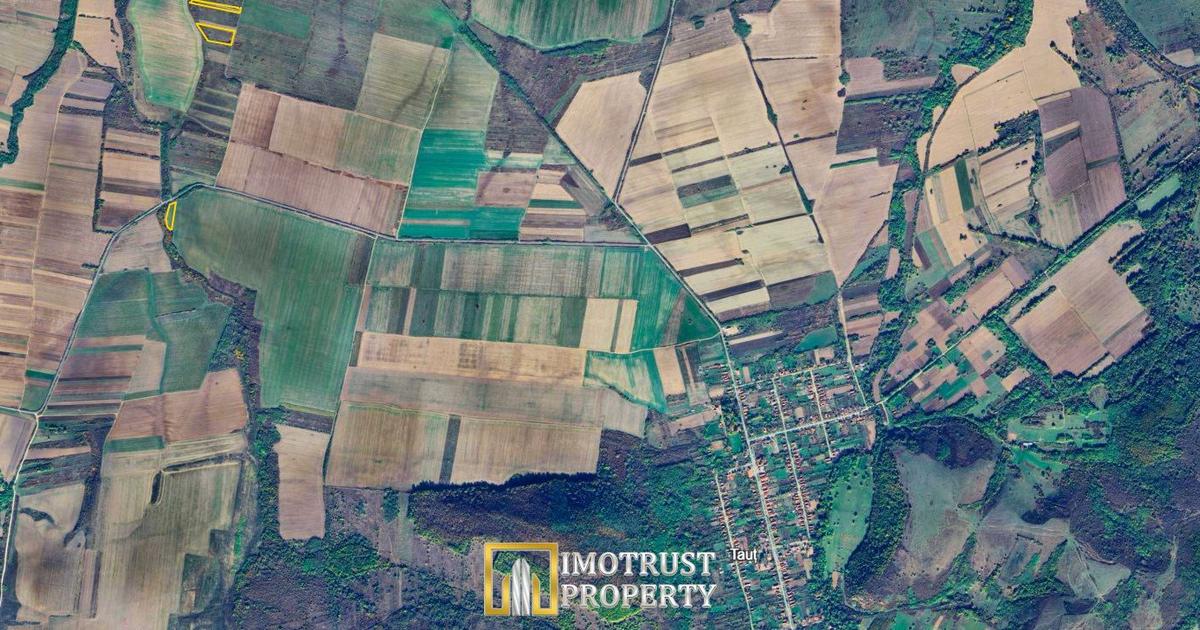 Teren agricol extravilan de 22000000 mp, în Tauț