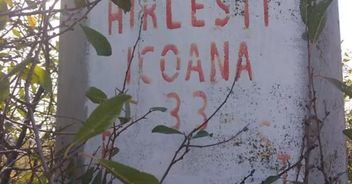 Teren agricol extravilan de 200000 mp, în Trivalea-Moșteni