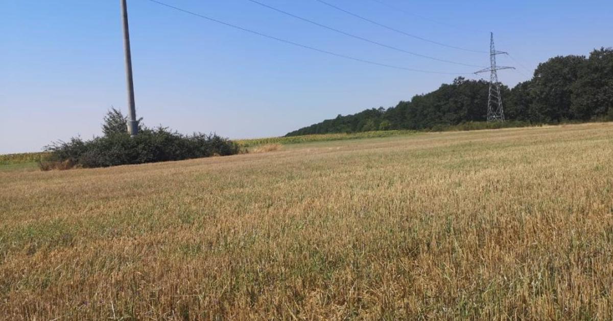 Teren agricol extravilan de 200000 mp, în Trivalea-Moșteni